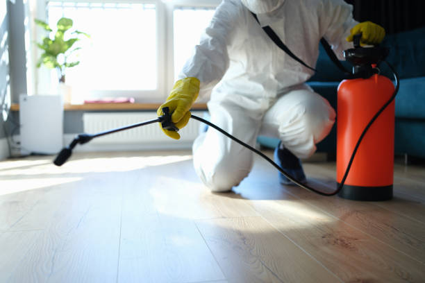 Reliable Odor Removal contractor in Casselberry, FL by Dulley Family Biohazard Services
